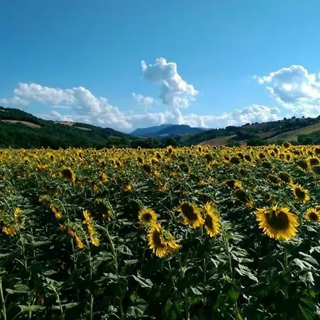 アパート Frazione Montesecco