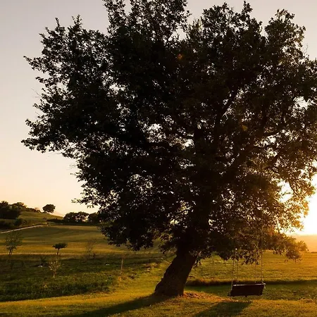 Frazione Montesecco * ペルゴラ