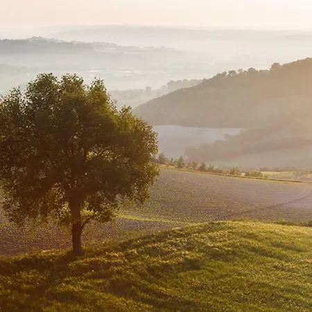Frazione Montesecco アパート *
